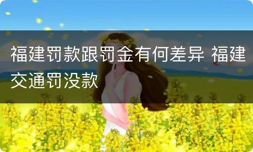 福建罚款跟罚金有何差异 福建交通罚没款