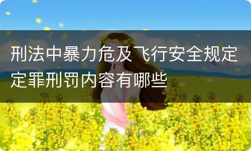 刑法中暴力危及飞行安全规定定罪刑罚内容有哪些
