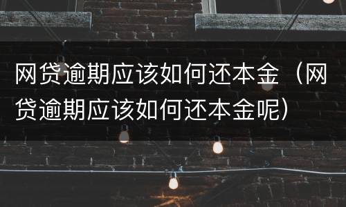 网贷逾期应该如何还本金（网贷逾期应该如何还本金呢）
