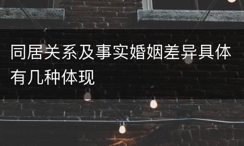 同居关系及事实婚姻差异具体有几种体现