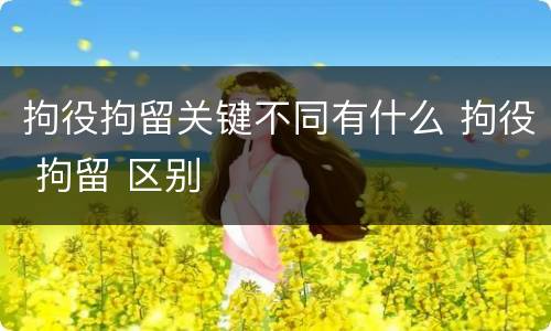 拘役拘留关键不同有什么 拘役 拘留 区别