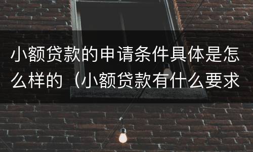 小额贷款的申请条件具体是怎么样的（小额贷款有什么要求）