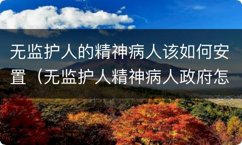 无监护人的精神病人该如何安置（无监护人精神病人政府怎样安置）