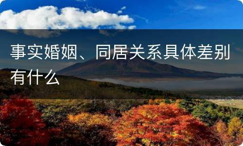 事实婚姻、同居关系具体差别有什么