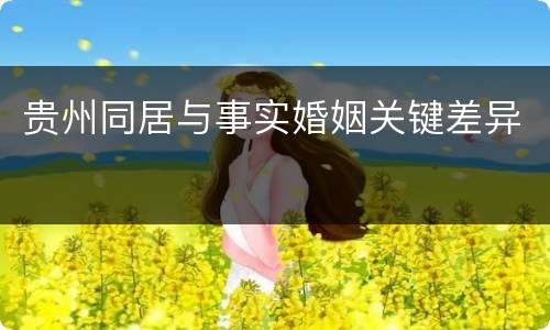 贵州同居与事实婚姻关键差异