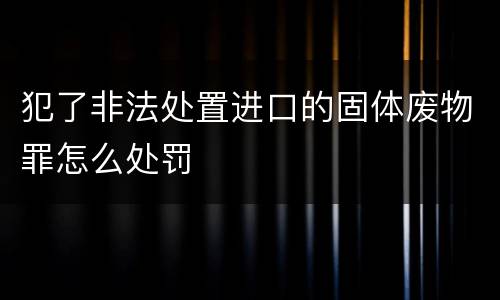 犯了非法处置进口的固体废物罪怎么处罚