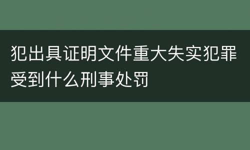 犯出具证明文件重大失实犯罪受到什么刑事处罚