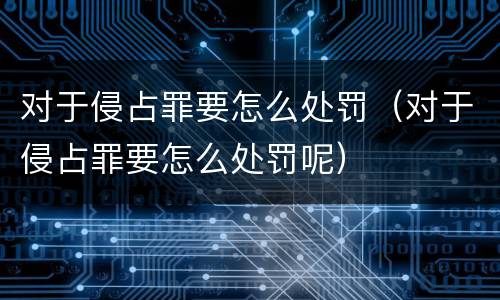 对于侵占罪要怎么处罚（对于侵占罪要怎么处罚呢）