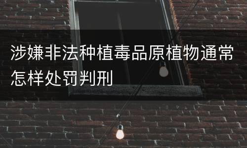 涉嫌非法种植毒品原植物通常怎样处罚判刑