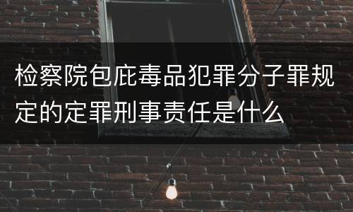 检察院包庇毒品犯罪分子罪规定的定罪刑事责任是什么