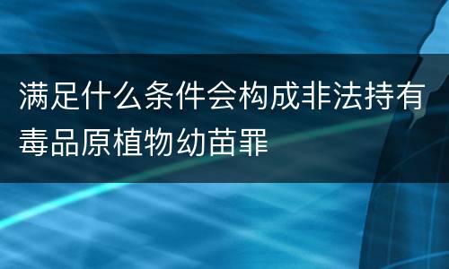 满足什么条件会构成非法持有毒品原植物幼苗罪