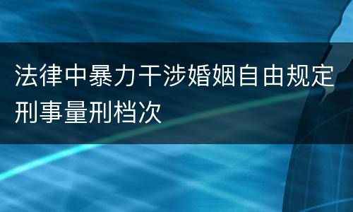 法律中暴力干涉婚姻自由规定刑事量刑档次