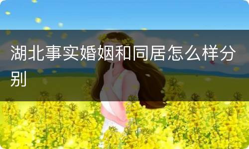 湖北事实婚姻和同居怎么样分别