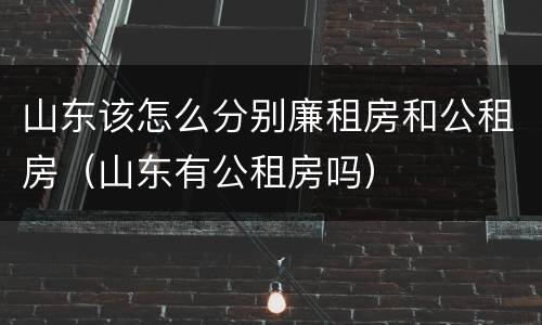 山东该怎么分别廉租房和公租房（山东有公租房吗）