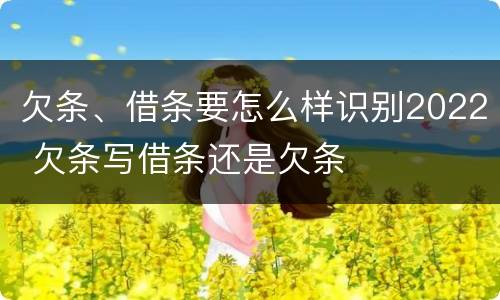 欠条、借条要怎么样识别2022 欠条写借条还是欠条