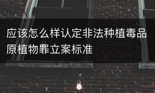 应该怎么样认定非法种植毒品原植物罪立案标准