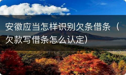 安徽应当怎样识别欠条借条（欠款写借条怎么认定）