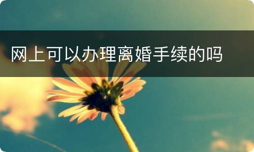 网上可以办理离婚手续的吗