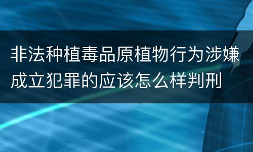 非法种植毒品原植物行为涉嫌成立犯罪的应该怎么样判刑