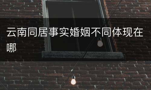 云南同居事实婚姻不同体现在哪
