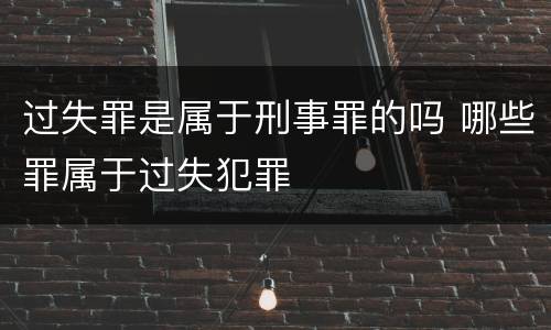 过失罪是属于刑事罪的吗 哪些罪属于过失犯罪