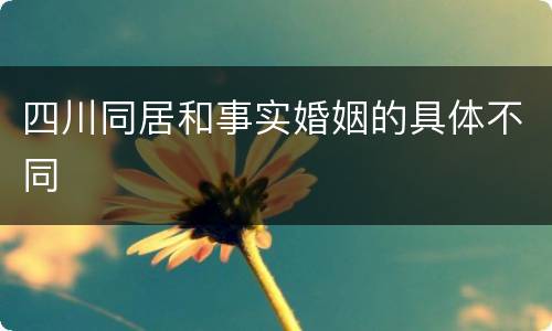 四川同居和事实婚姻的具体不同