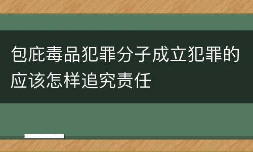 包庇毒品犯罪分子成立犯罪的应该怎样追究责任