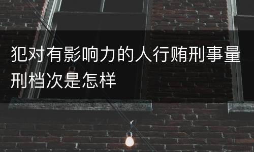 犯对有影响力的人行贿刑事量刑档次是怎样