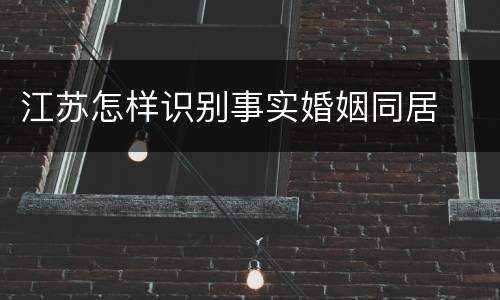 江苏怎样识别事实婚姻同居