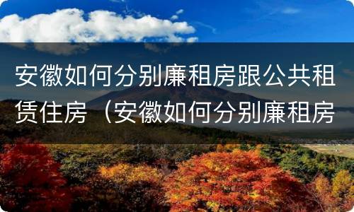 安徽如何分别廉租房跟公共租赁住房（安徽如何分别廉租房跟公共租赁住房的区别）