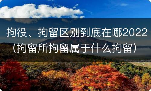 拘役、拘留区别到底在哪2022（拘留所拘留属于什么拘留）