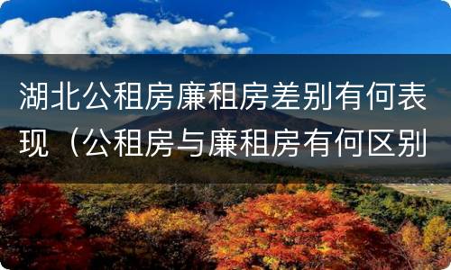 湖北公租房廉租房差别有何表现（公租房与廉租房有何区别）