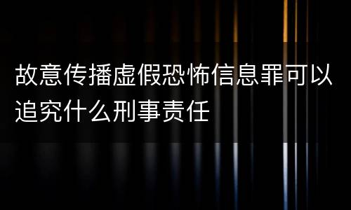 故意传播虚假恐怖信息罪可以追究什么刑事责任