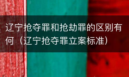 辽宁抢夺罪和抢劫罪的区别有何（辽宁抢夺罪立案标准）