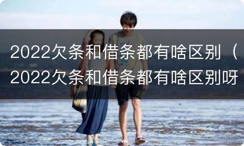 2022欠条和借条都有啥区别（2022欠条和借条都有啥区别呀）
