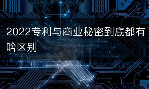2022专利与商业秘密到底都有啥区别