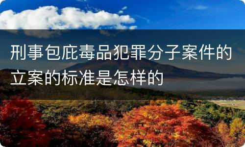 刑事包庇毒品犯罪分子案件的立案的标准是怎样的