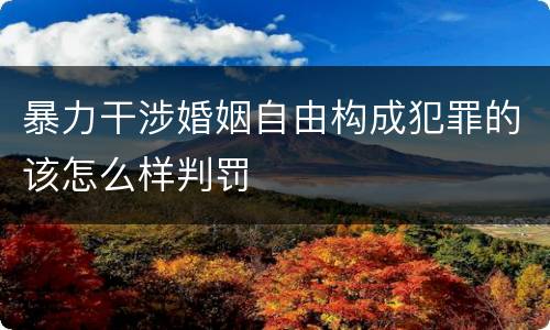 暴力干涉婚姻自由构成犯罪的该怎么样判罚