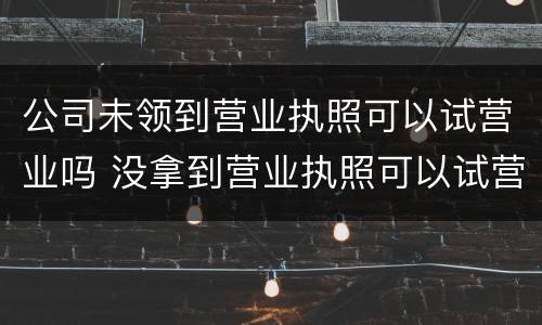 公司未领到营业执照可以试营业吗 没拿到营业执照可以试营业吗