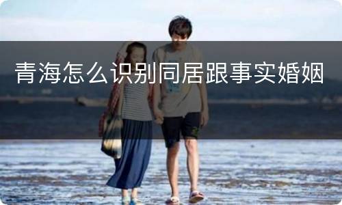 青海怎么识别同居跟事实婚姻