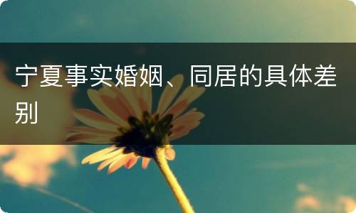 宁夏事实婚姻、同居的具体差别