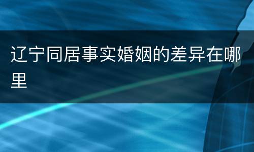 辽宁同居事实婚姻的差异在哪里