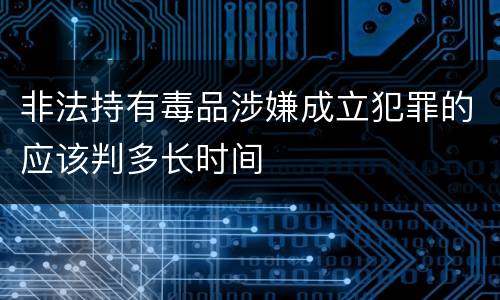非法持有毒品涉嫌成立犯罪的应该判多长时间
