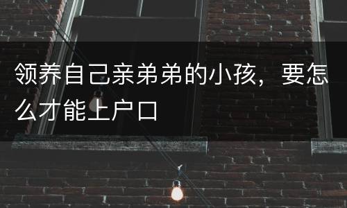 领养自己亲弟弟的小孩，要怎么才能上户口