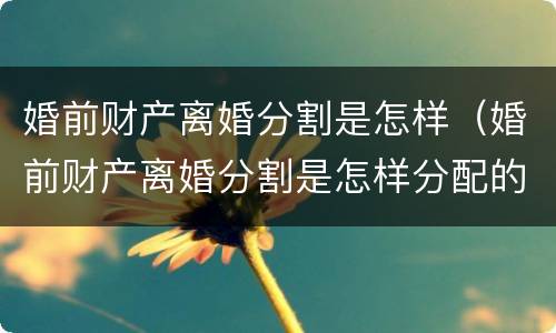 婚前财产离婚分割是怎样（婚前财产离婚分割是怎样分配的）