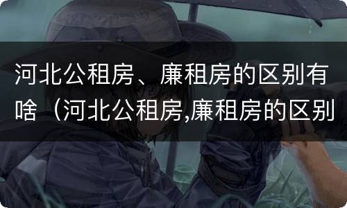 河北公租房、廉租房的区别有啥（河北公租房,廉租房的区别有啥不同）