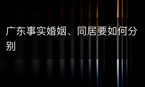 广东事实婚姻、同居要如何分别