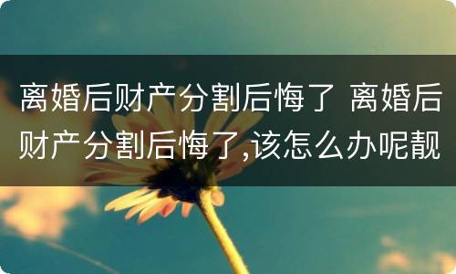 离婚后财产分割后悔了 离婚后财产分割后悔了,该怎么办呢靓女