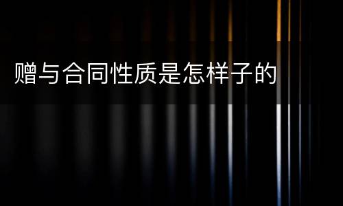 赠与合同性质是怎样子的