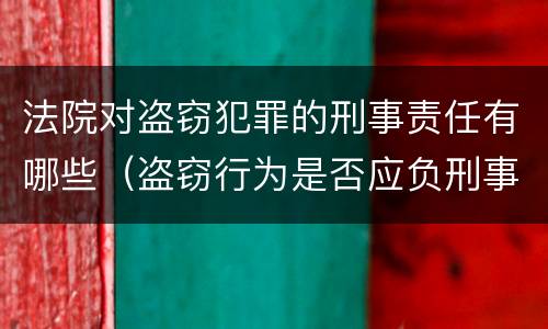 法院对盗窃犯罪的刑事责任有哪些（盗窃行为是否应负刑事法律责任）